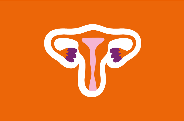 Intro Uterus O