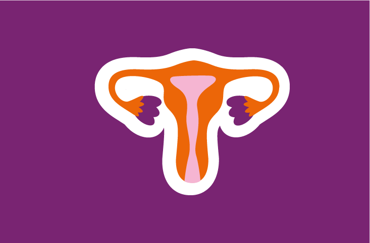 Intro Uterus V